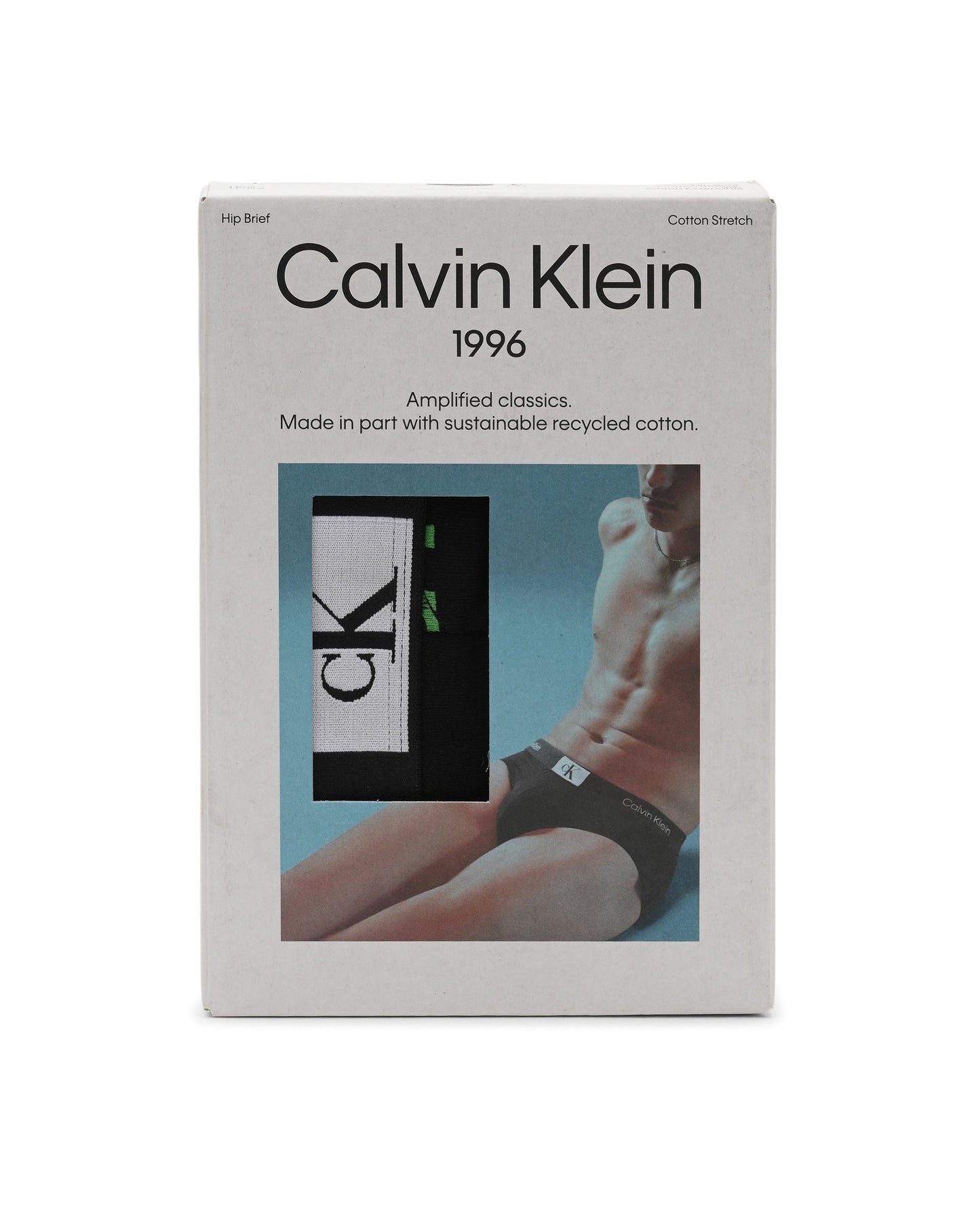 Calvin Klein Mens Hip Brief 000NB3402AGNG