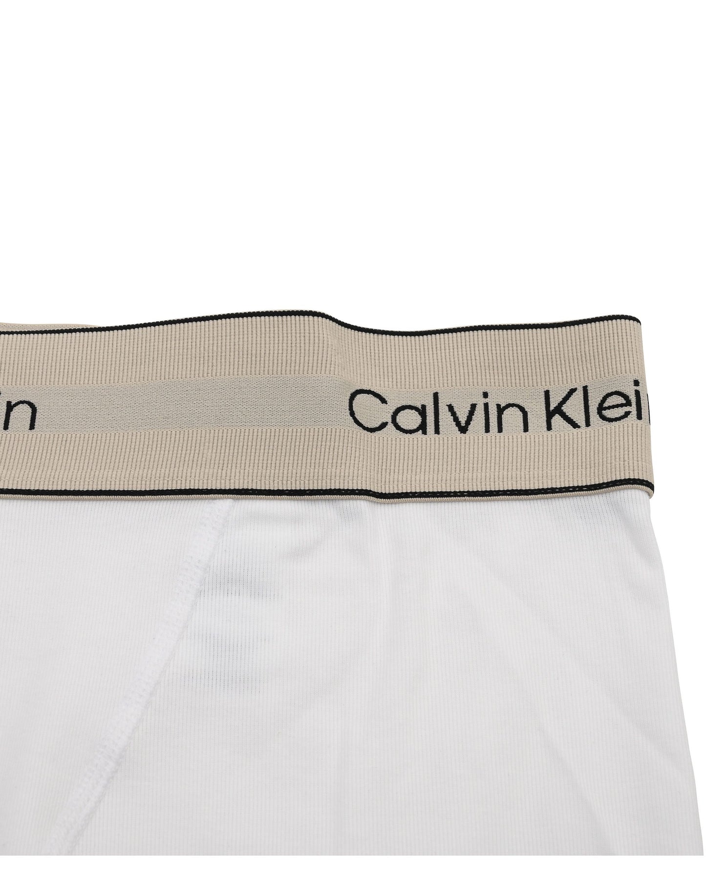 Calvin Klein Womens Underwear Bottom LV00QF8371100