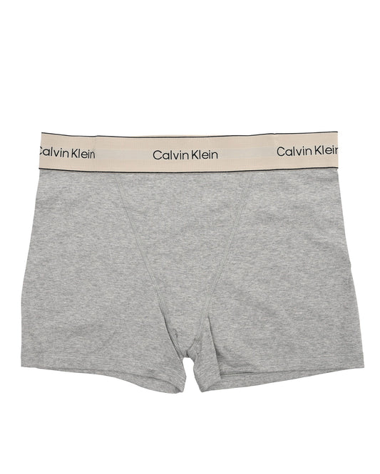 Calvin Klein Womens Underwear Bottom LV00QF8371P7A