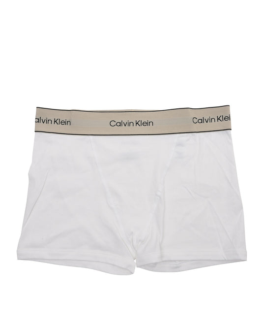Calvin Klein Womens Underwear Bottom LV00QF8371100